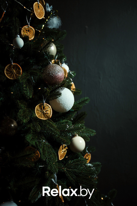 Новогодние вечера в Terra Club, фото № 80