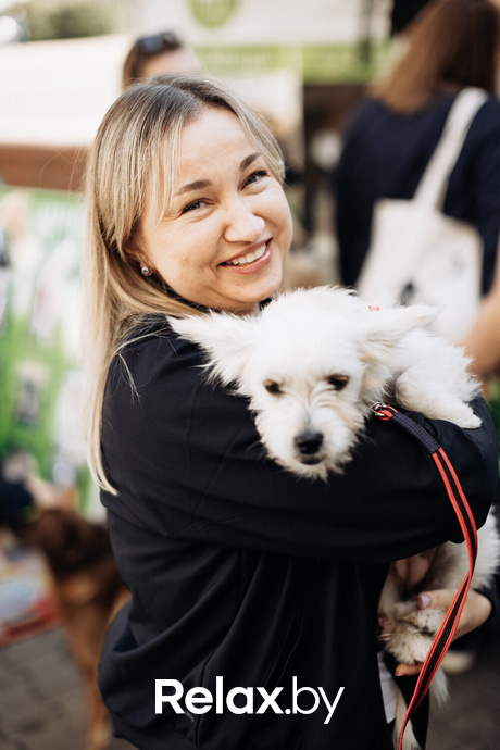 Акция Пушистого Добра, фото № 22