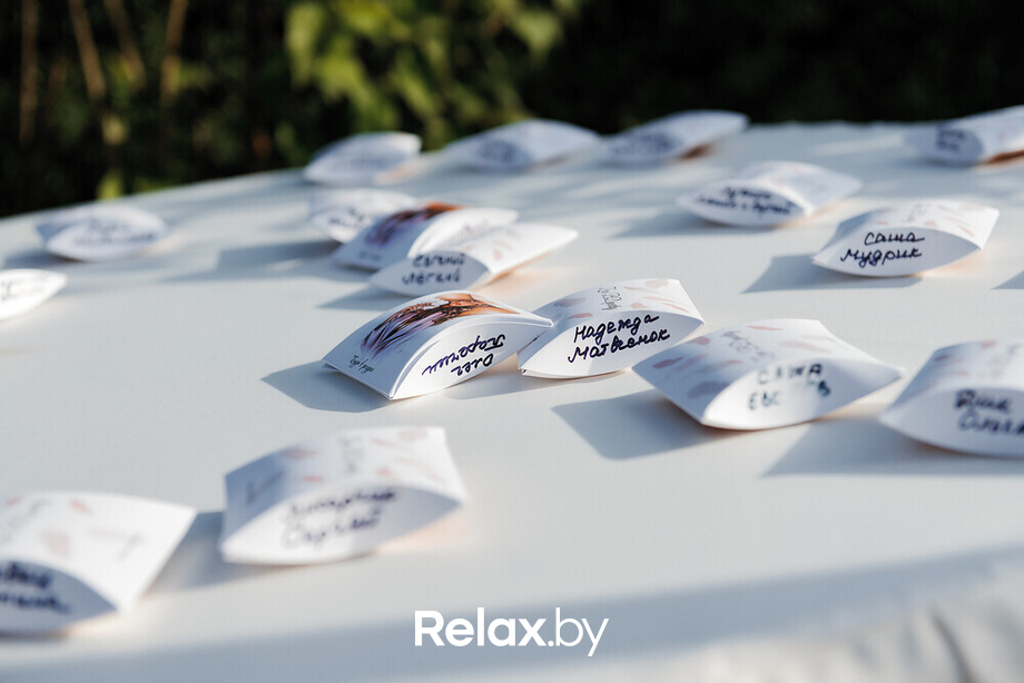 День рождения Светланы Зере, фото № 110