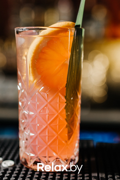 Terra Karaoke, фото № 38