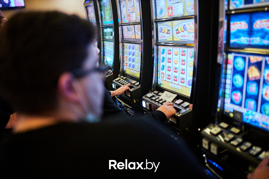 Пекинская капуста, фото № 17