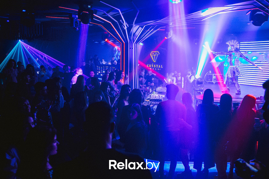 Birds show, фото № 56