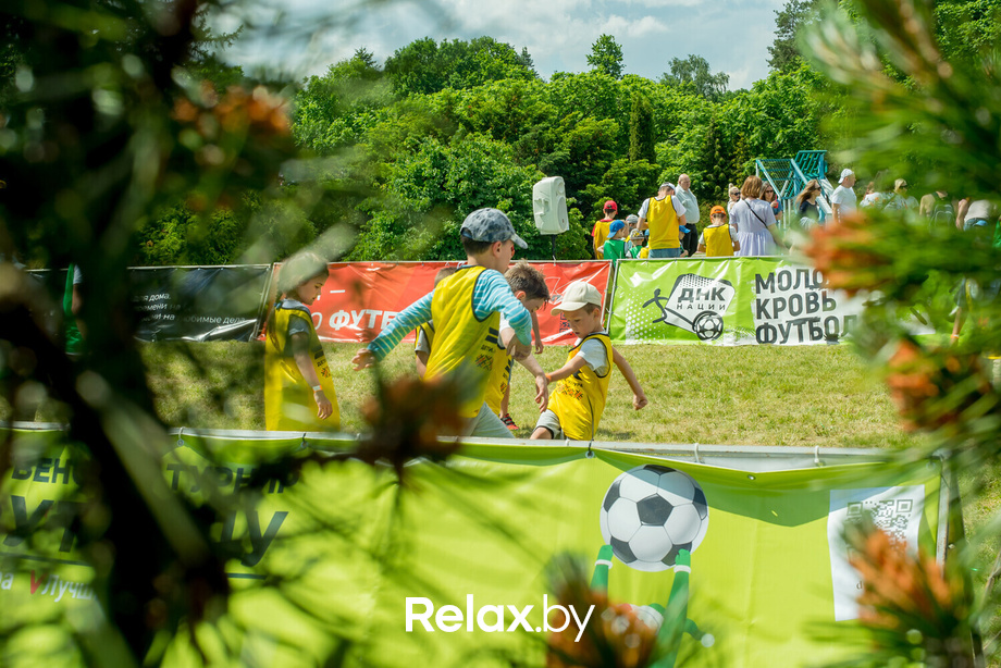 Букидс. Профессии, фото № 43