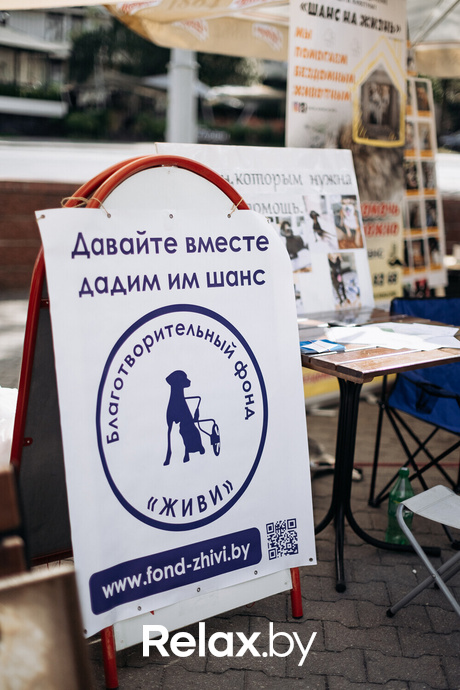 Акция Пушистого Добра, фото № 48