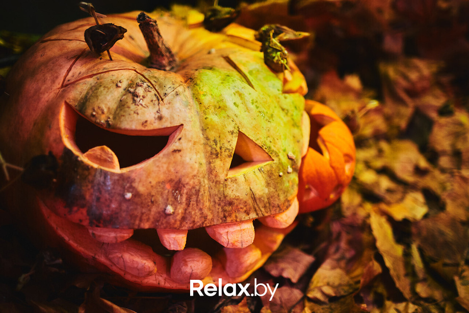 Halloween Zombieland, фото № 71