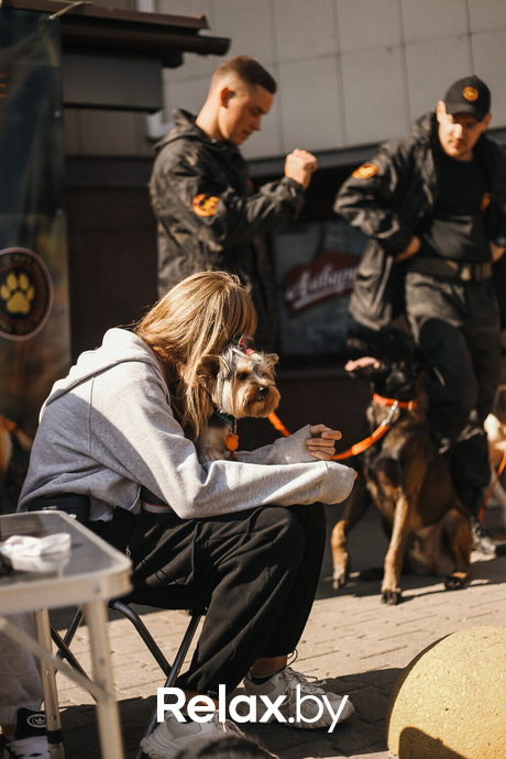 Акция Пушистого Добра, фото № 123