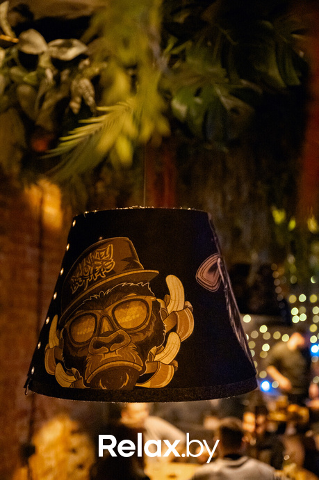 Monkey Brothers, фото № 34