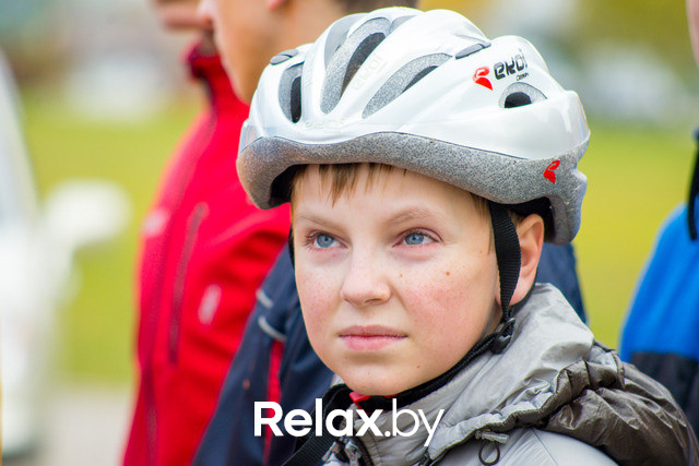 Золотая осень с Васильками, фото № 31