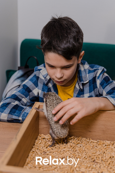 Открытие антикафе «Ёж кафе», фото № 19