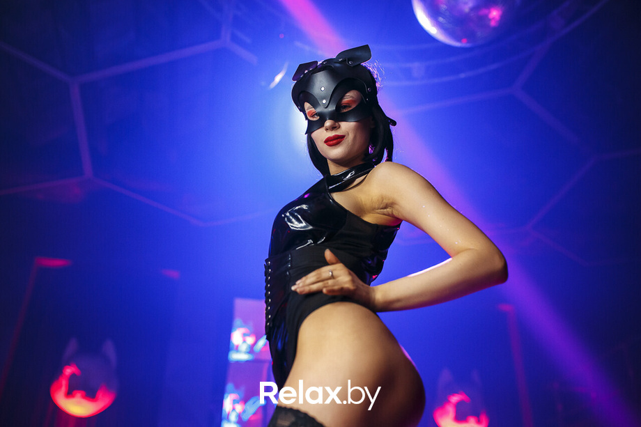 101 Dalmatians, фото № 13