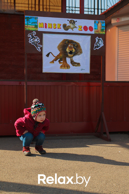 Акция ко Дню защиты животных, фото № 99