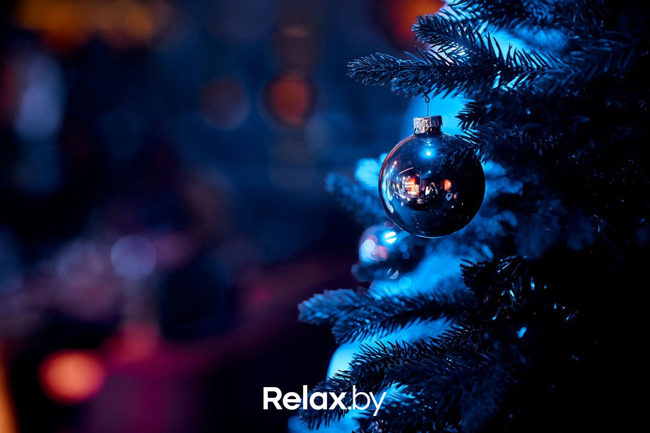 Предновогодние вечеринки в Ангелах, фото № 130