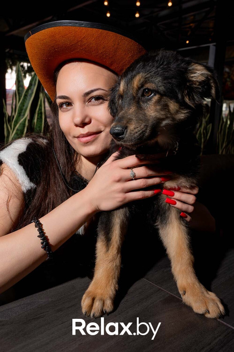 Акция пушистого добра, фото № 26