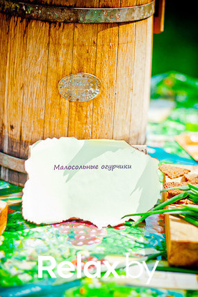 Экспедиция презентация Пикник-отеля, фото № 130