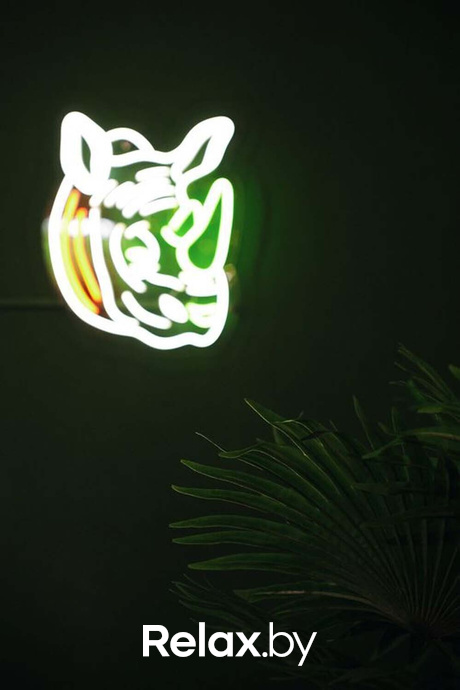 Открытие Джуманджи, фото № 39