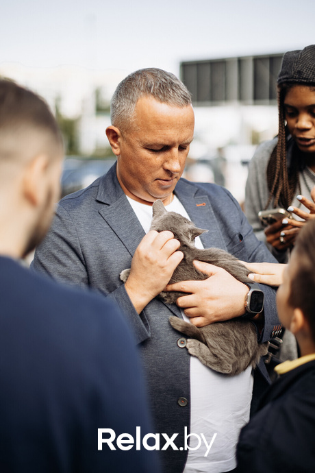 Акция Пушистого Добра, фото № 43