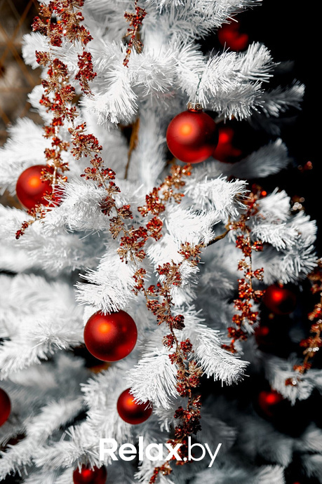 Предновогодние вечеринки в Ангелах, фото № 5