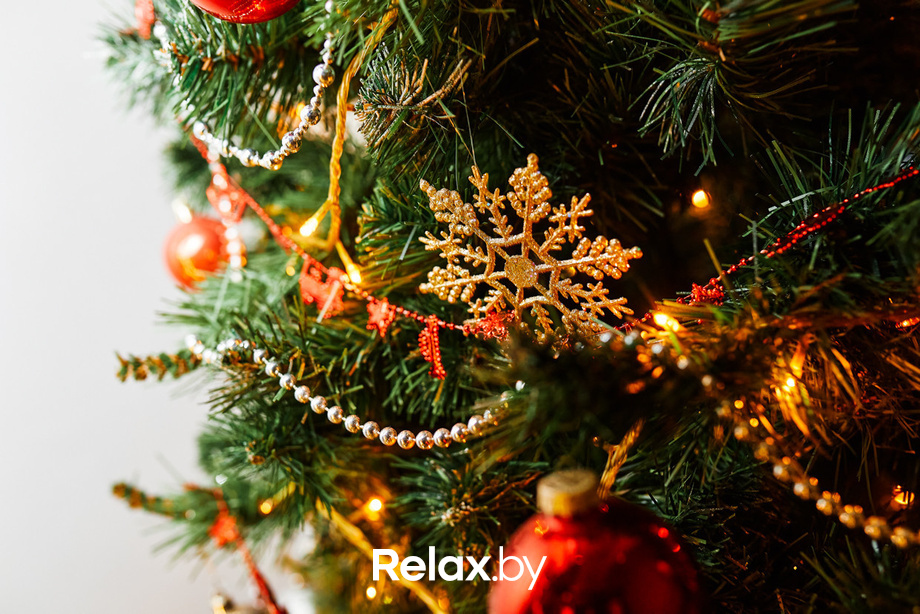 Ёлки 2021, фото № 2