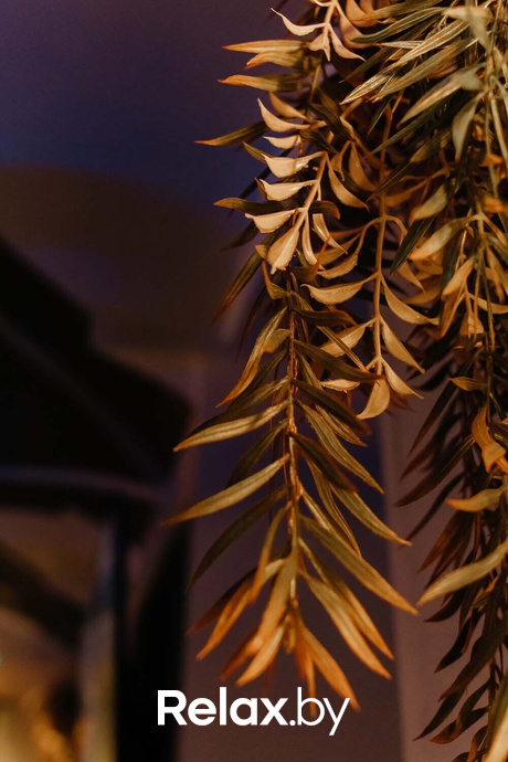 Выходные в Rustaveli, фото № 63