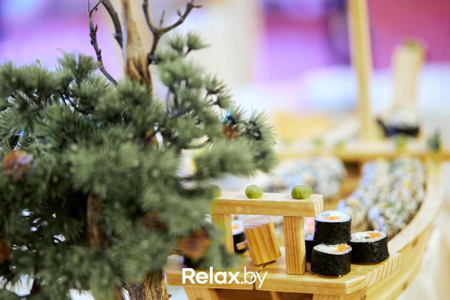 Opera Loto, фото № 26