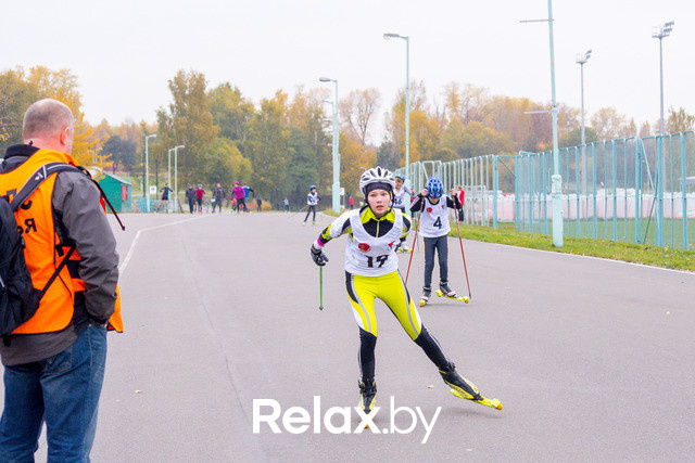 Золотая осень с Васильками, фото № 68