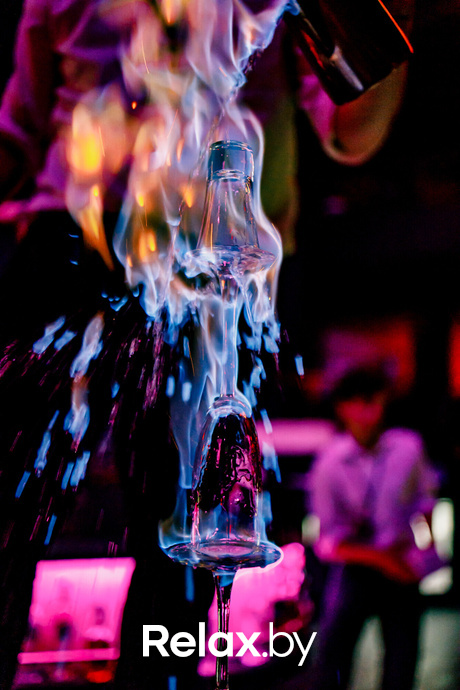 Rich Cat friday, фото № 106