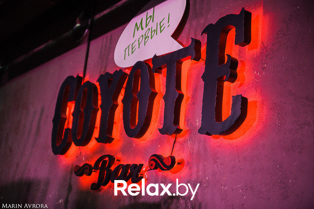 Stand-up club анонимных и находчивых, специальный гость Виталик Коломиец, фото № 55