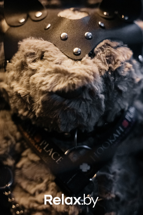 Live Music, фото № 38