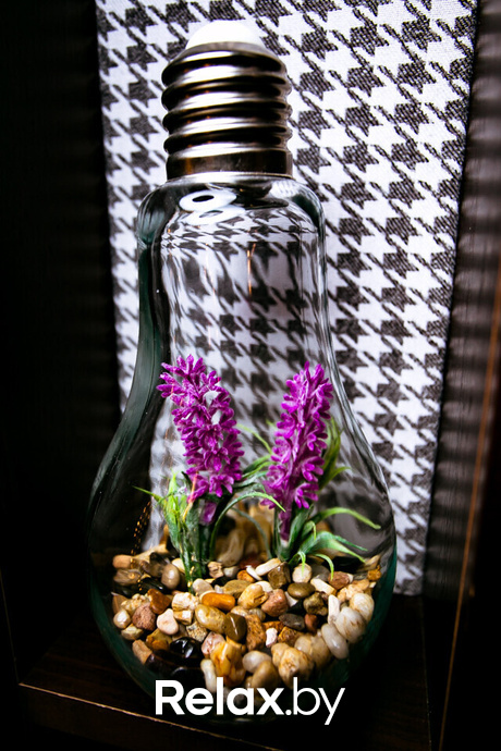 Terra Karaoke, фото № 14