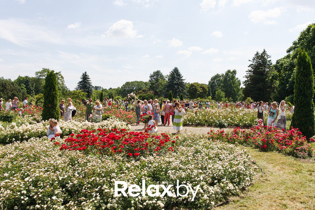 Фестиваль роз, фото № 6