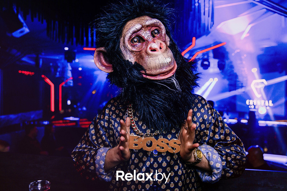 Cococoon, фото № 17