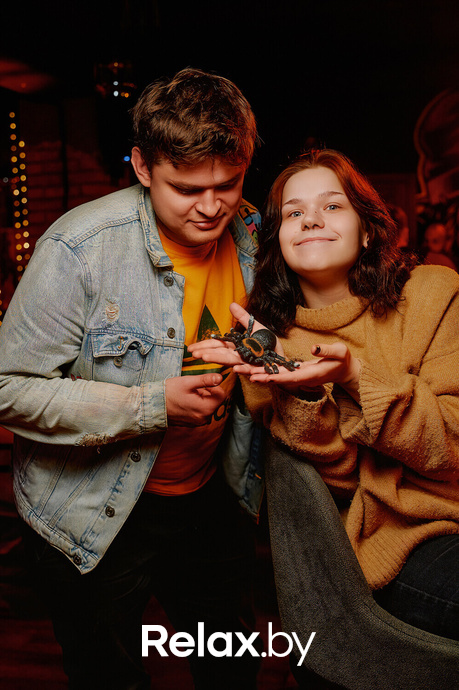 Monkey Brothers, фото № 28