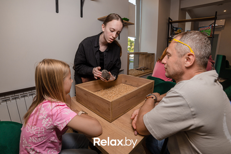 Открытие антикафе «Ёж кафе», фото № 69