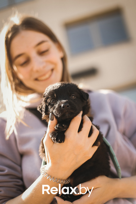 Акция Пушистого Добра, фото № 139