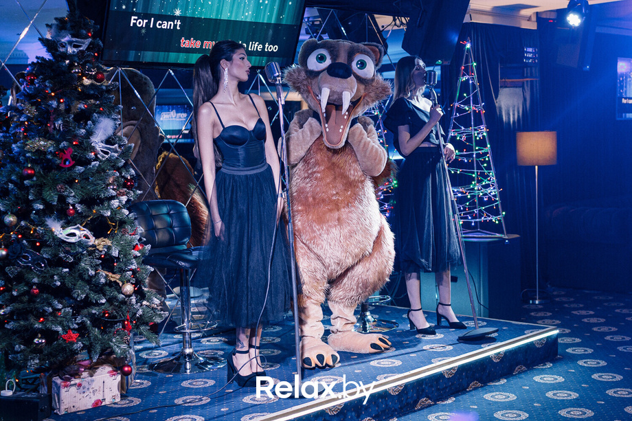 Новогодняя ночь, фото № 5