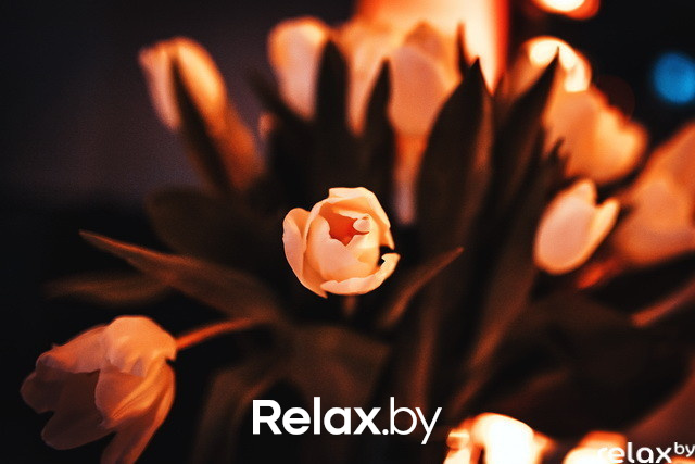 Закрытый дегустационный вечер винного дома Soto del Vicario, фото № 42