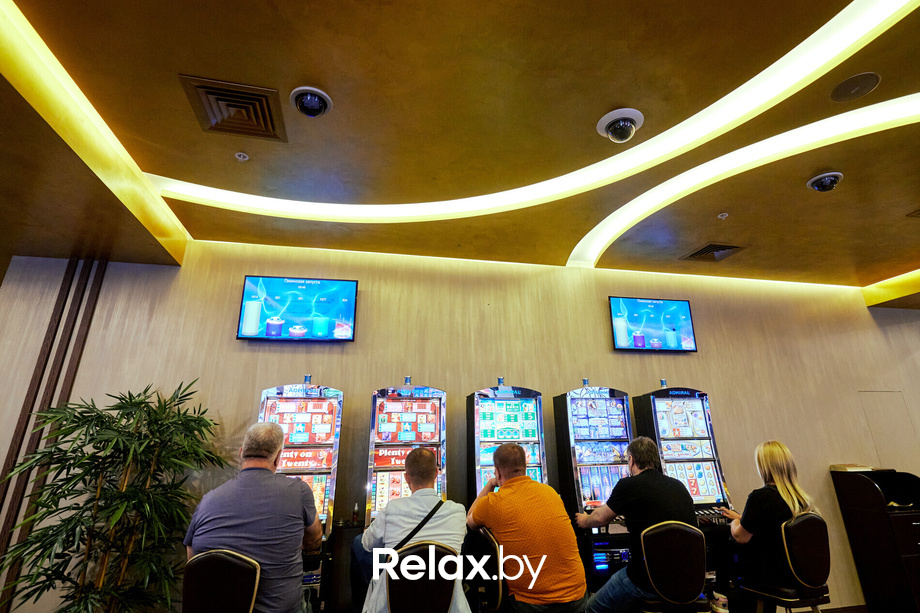 Пекинская капуста, фото № 26