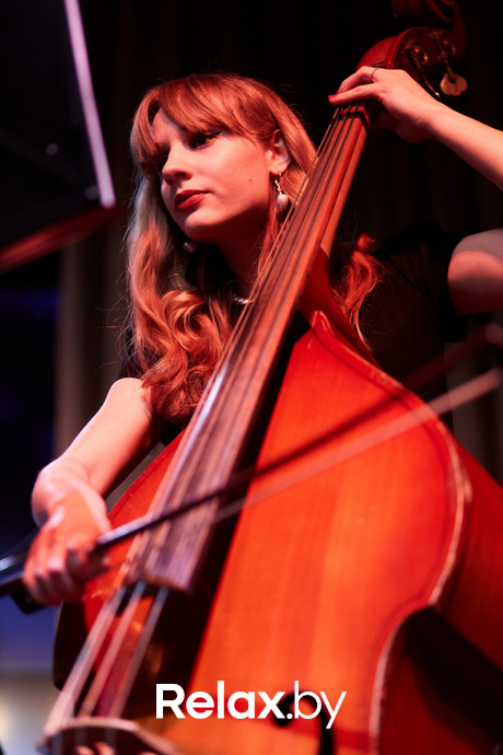 «LIXIANG L9 и оркестр Classic Energy», фото № 49