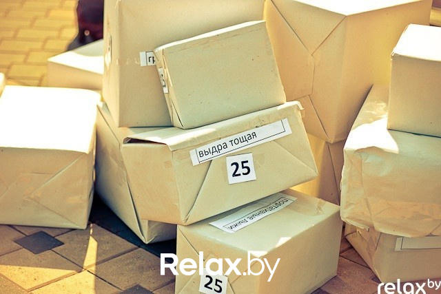 Презентация ŠKODA Rapid, фото № 16