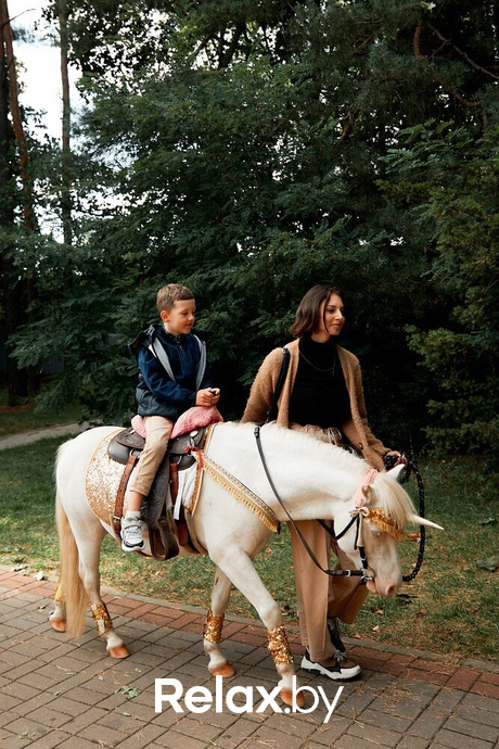 Фестиваль Vulitsa Ezha, фото № 124