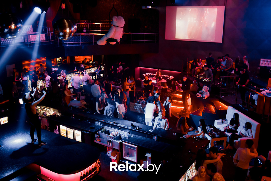 Rich Cat friday, фото № 122