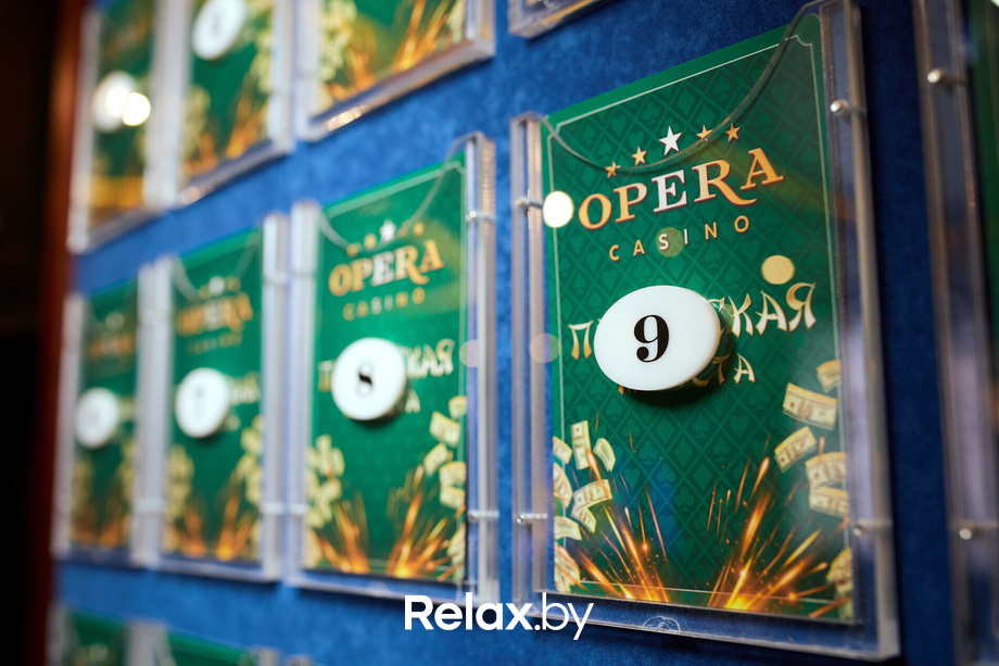 Пекинская капуста, фото № 2