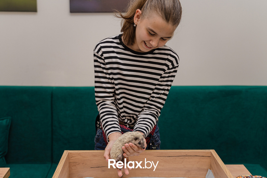 Открытие антикафе «Ёж кафе», фото № 26