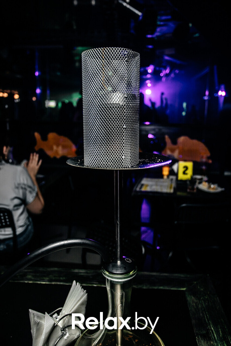 Шуфутинов день, фото № 47