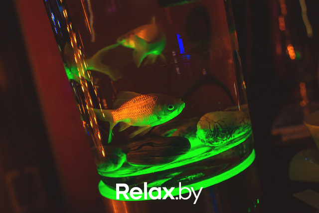 Фестиваль "Звезды караоке", фото № 22