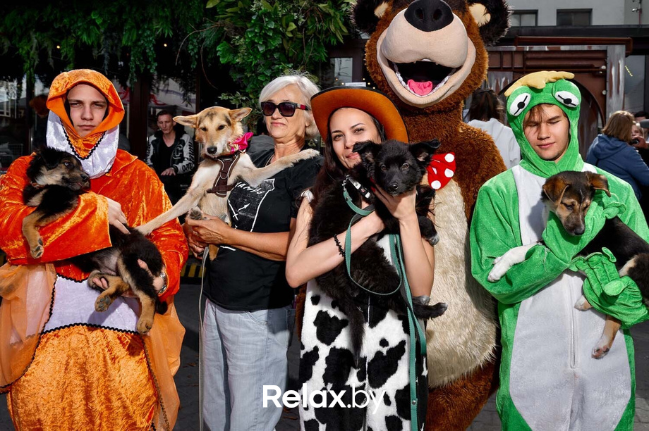 Акция пушистого добра, фото № 31