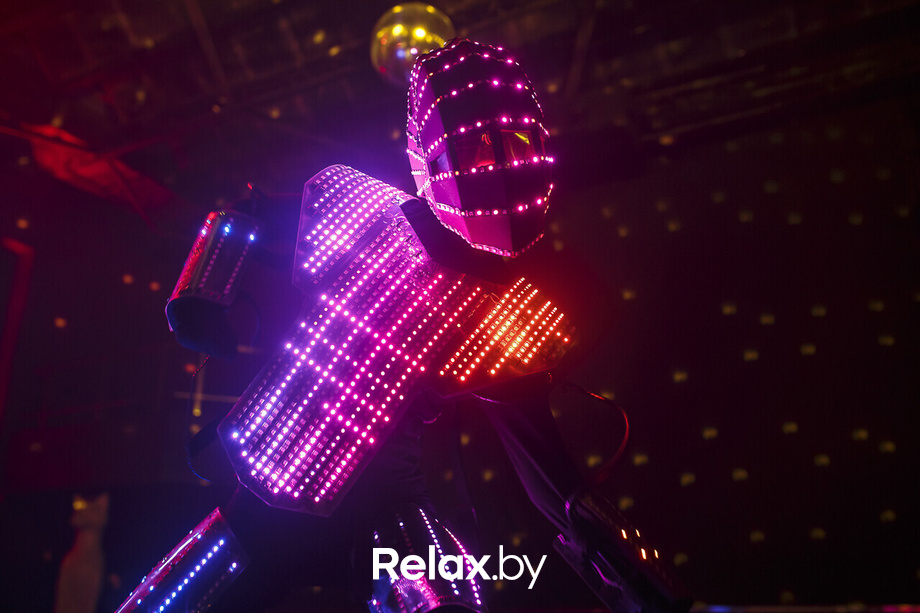 Rich Cat 6 лет, фото № 1