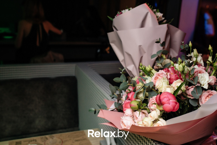 Terra Karaoke, фото № 4