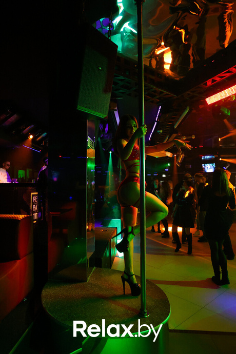 Ice-ise baby, фото № 1