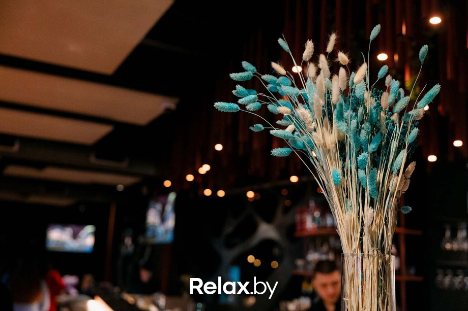 Terra party, фото № 24